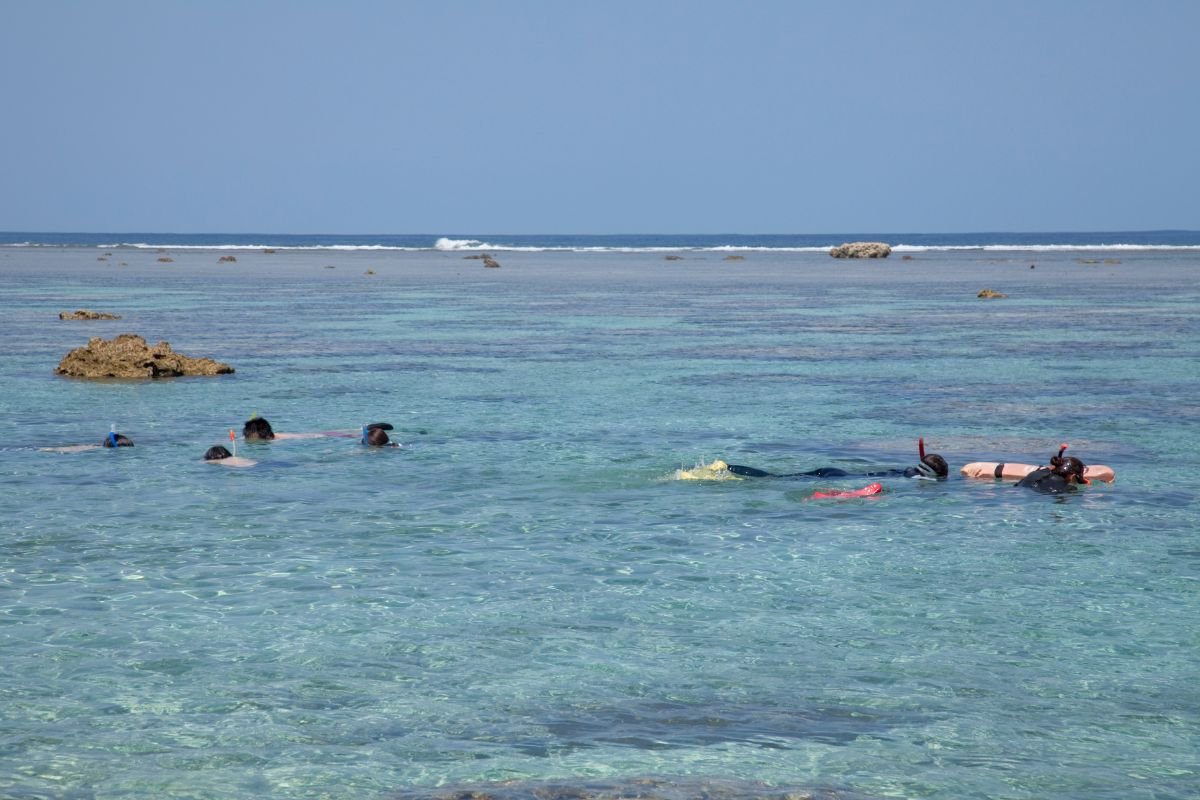 🏖️ 요시노 해안(요시노카이간) 이미지 3